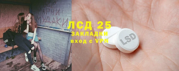 мдпв Туринск